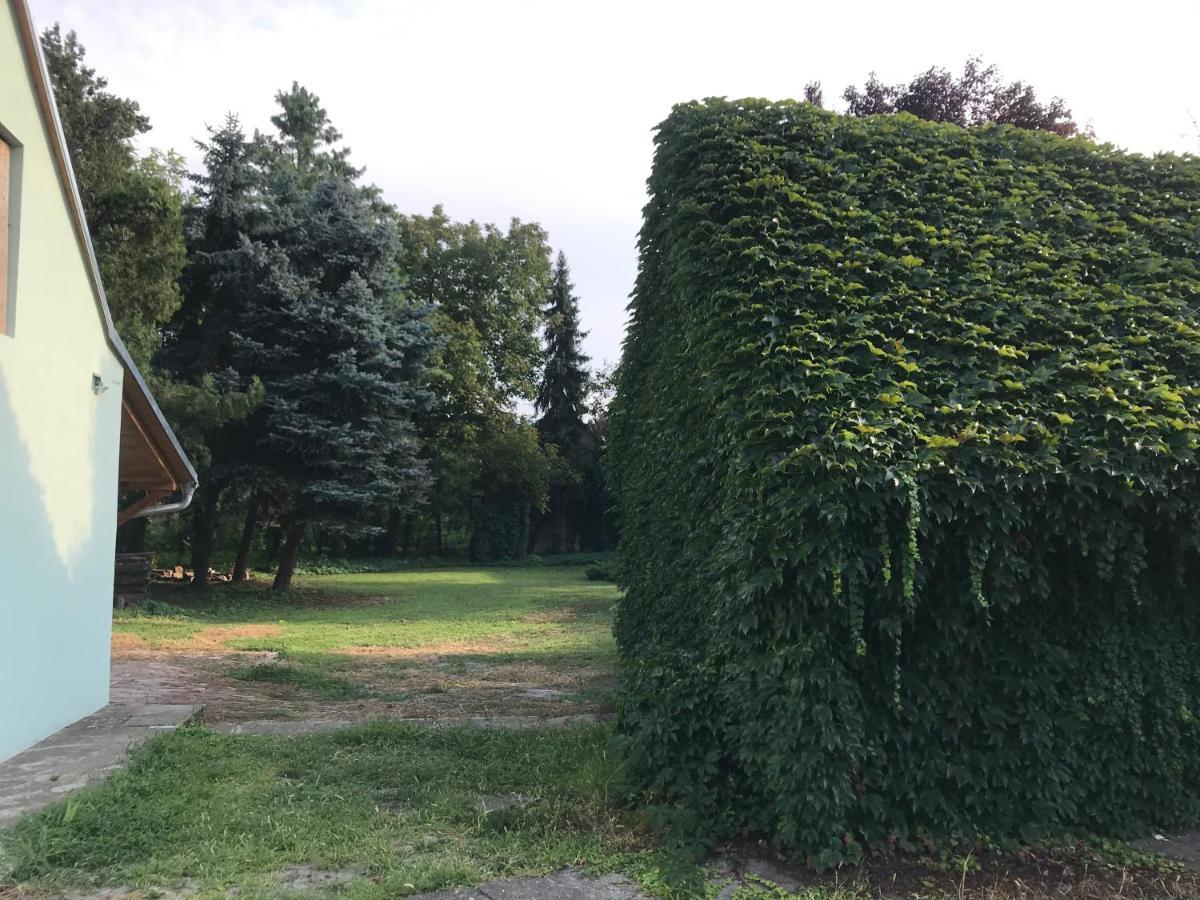 Pb Urban Garden Stay With Secured Parking Sremska Mitrovica Esterno foto